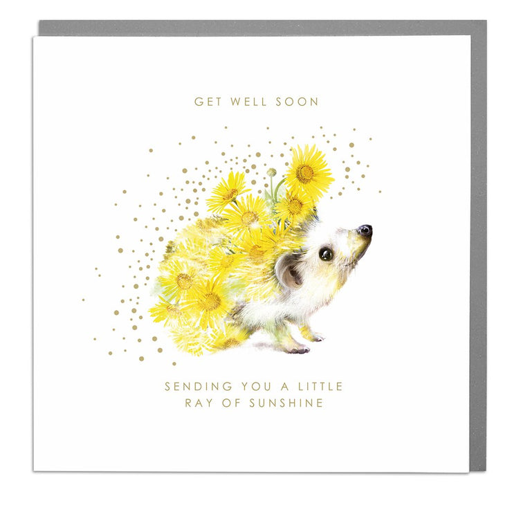Hedgehog Sending You A Little Ray Of Sunshine Get Well Soon Card - Lola Design Ltd