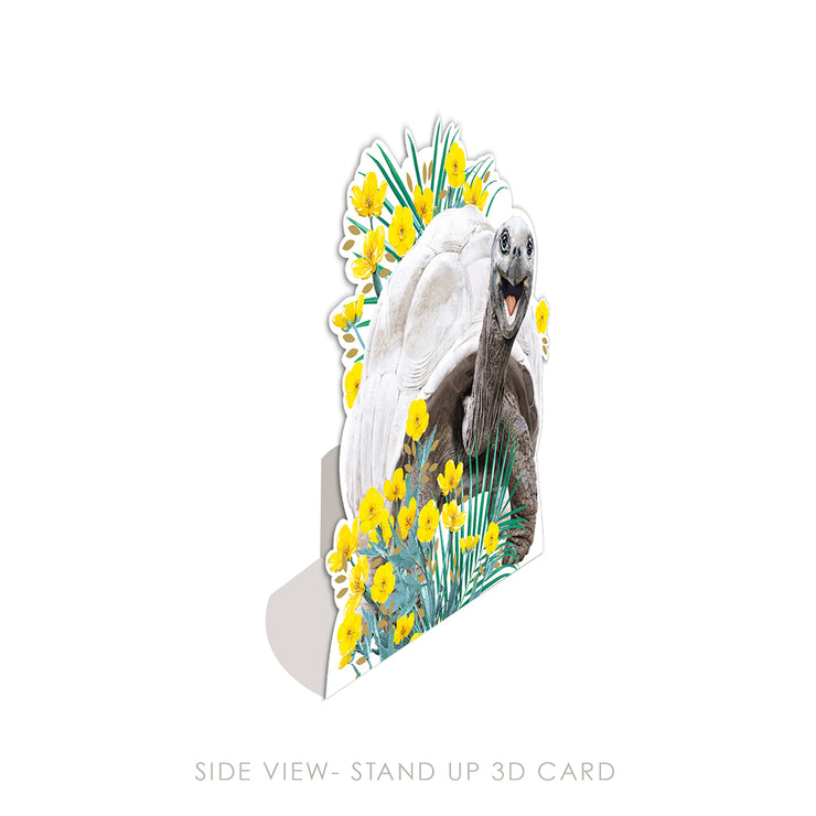 Land Tortosie 3D Card - Lola Design x ZSL - Lola Design Ltd