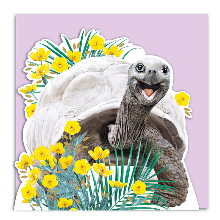 Land Tortosie 3D Card - Lola Design x ZSL - Lola Design Ltd