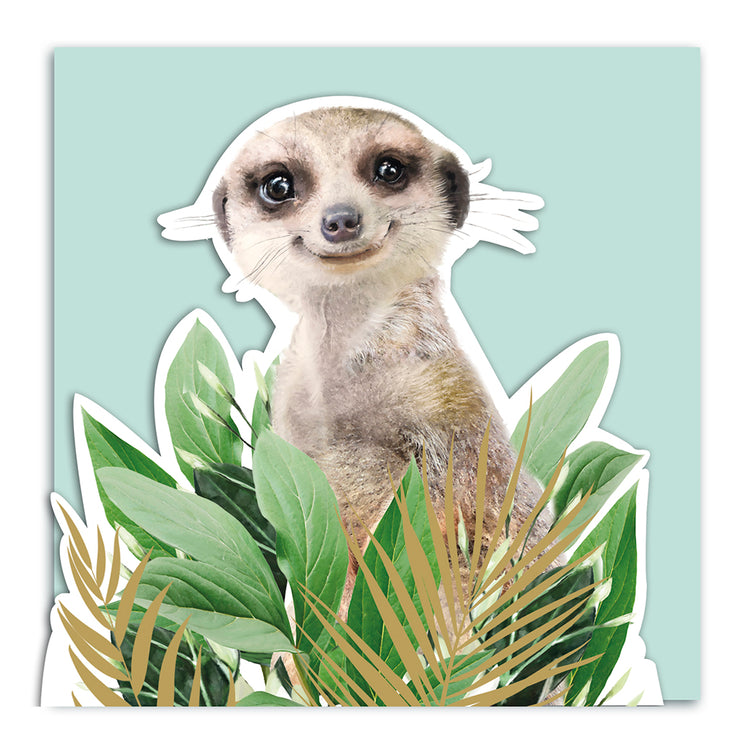 Meercat 3D Card - Lola Design x ZSL - Lola Design Ltd