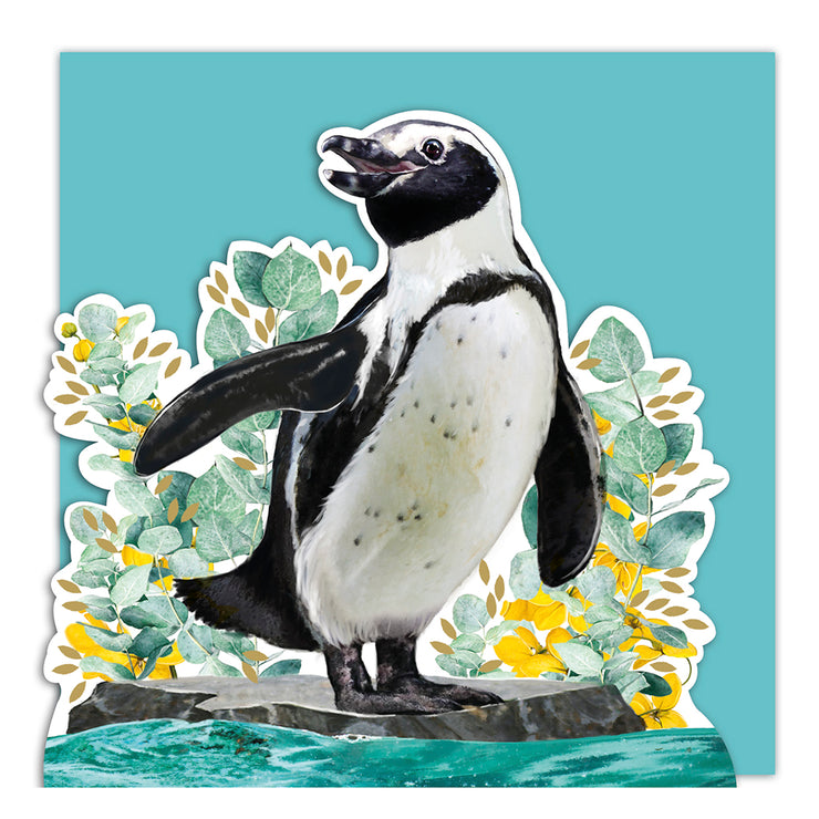 Penguin 3D Card - Lola Design x ZSL - Lola Design Ltd