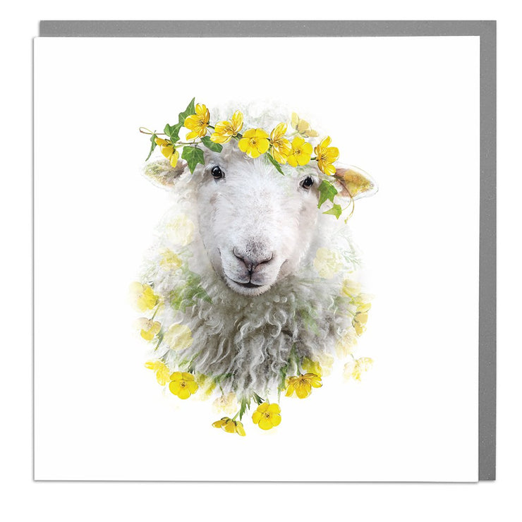Sheep Card by Lola Design - Lola Design Ltd