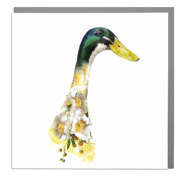 Indian Runner Duck Card by Lola Design - Lola Design Ltd