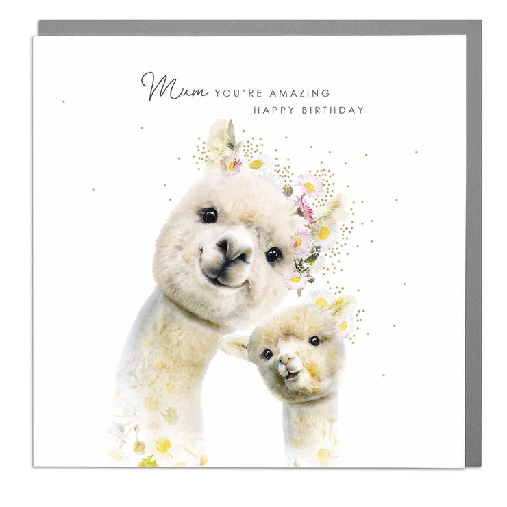 Alpaca Mum Birthday Card by Lola Design - Lola Design Ltd