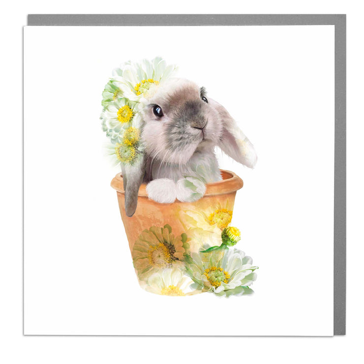 Bunny in pot plant greeting card  by Lola Design - Lola Design Ltd