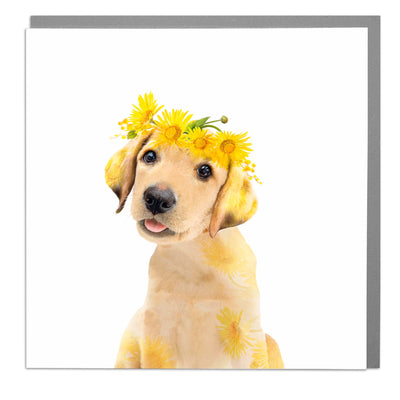 Golden Labrador greeting card by Lola Design - Lola Design Ltd