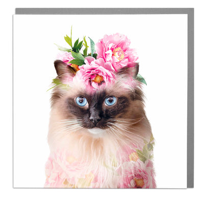 Rag Doll Cat greeting card by Lola Design - Lola Design Ltd