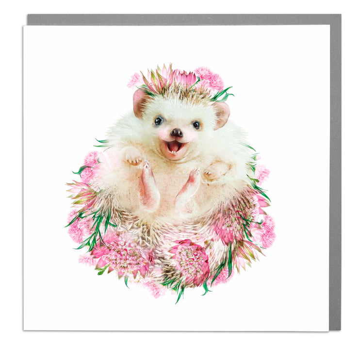 Round Hedgehog greeting card  by Lola Design - Lola Design Ltd