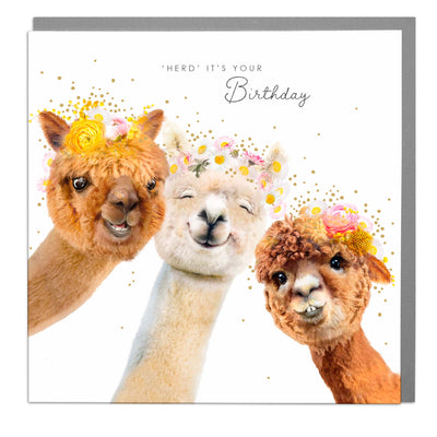 Alpaca - Heard its Your Birthday greeting card by Lola Design - Lola Design Ltd