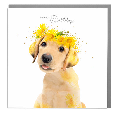 Golden Labrador Pup - Happy Birthday card by Lola Design - Lola Design Ltd