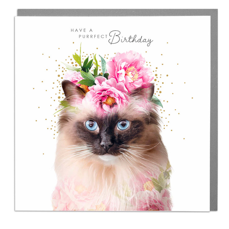 Rag Doll Cat - Puurfect Birthday card by Lola Design - Lola Design Ltd