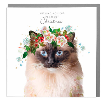 Purrfect Christmas - Rag Doll Cat Christmas card by Lola Design - Lola Design Ltd