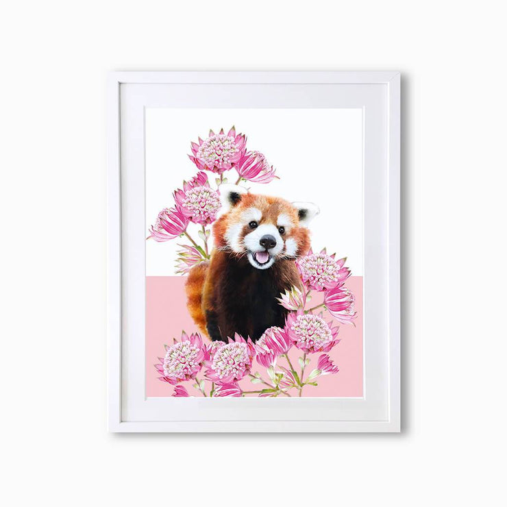 Red Panda Art Print - Lola Design Ltd