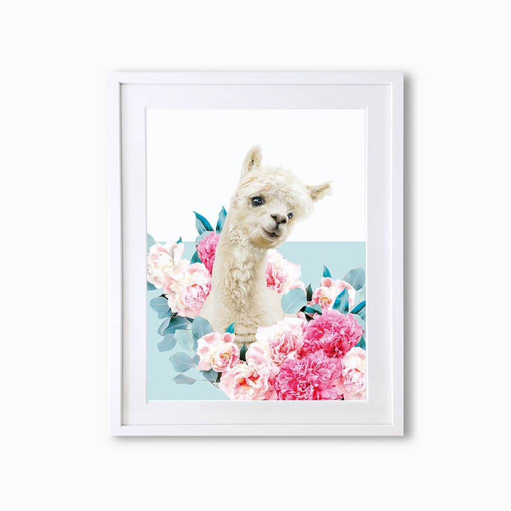 Llama Art Print - Lola Design Ltd