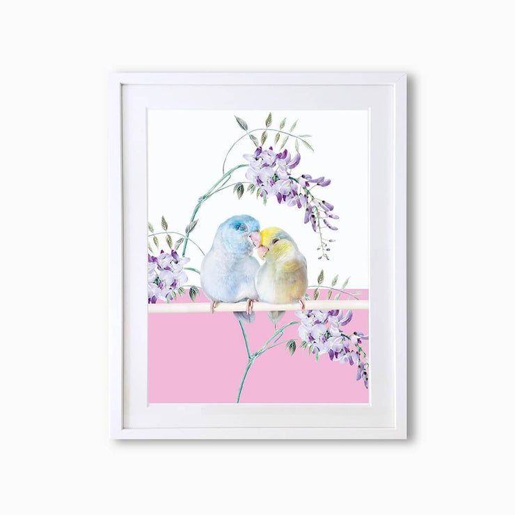 Budgies Art Print - Lola Design Ltd