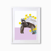 Turtle Art Print - Lola Design Ltd