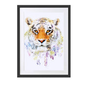 Tiger Art Print - Lola Design Ltd