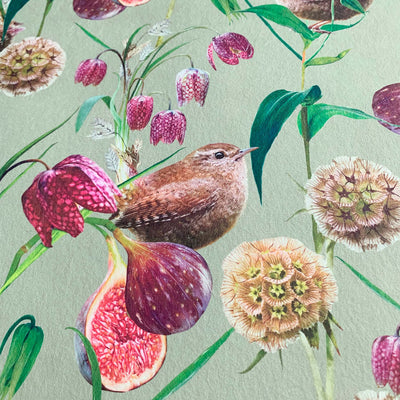 Botanical Wren Wallpaper Sample- Mist Green - Lola Design Ltd