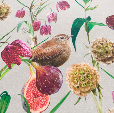 Botanical Wren Wallpaper Sample- French Grey - Lola Design Ltd