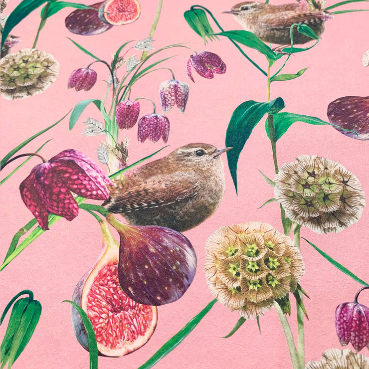 Botanical Wren Wallpaper Sample- Rose Pink - Lola Design Ltd