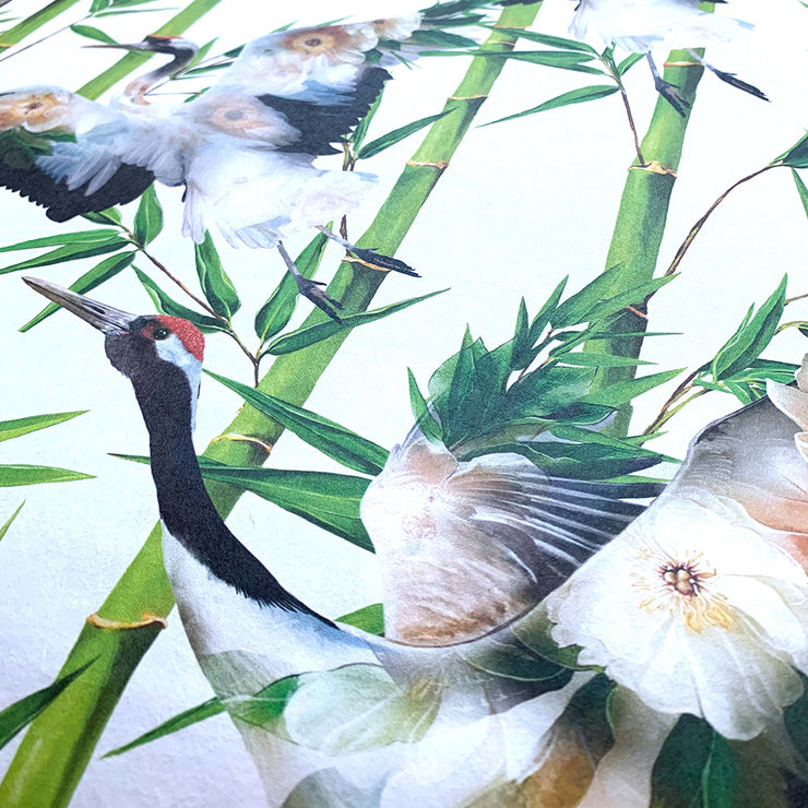 Cranes White Wallpaper Sample - Lola Design Ltd