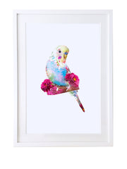 Budgie Art Print - Lola Design Ltd