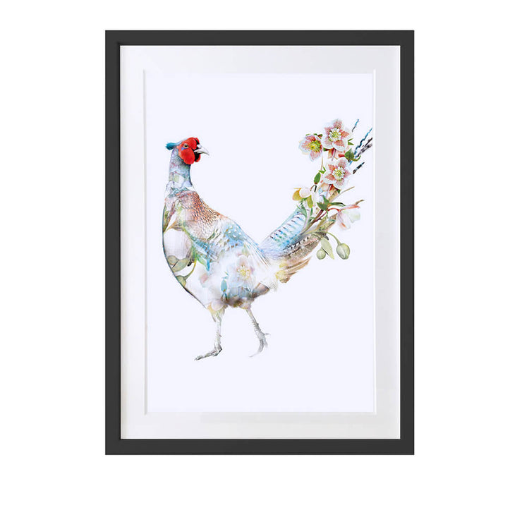 Hellebore Pheasant Art Print - Lola Design Ltd