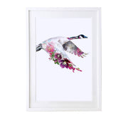 Canadian Goose Art Print - Lola Design Ltd