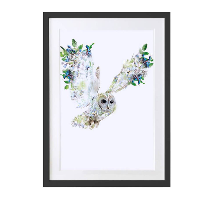 Tawny Owl Art Print - Lola Design Ltd