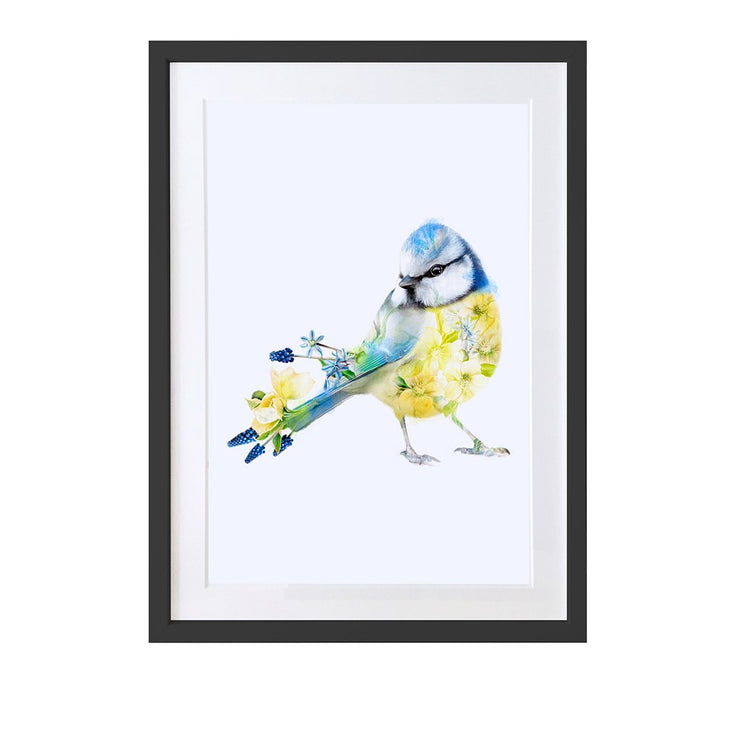 Blue tit Art Print - Lola Design Ltd