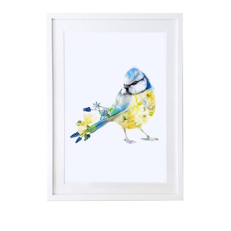 Blue tit Art Print - Lola Design Ltd