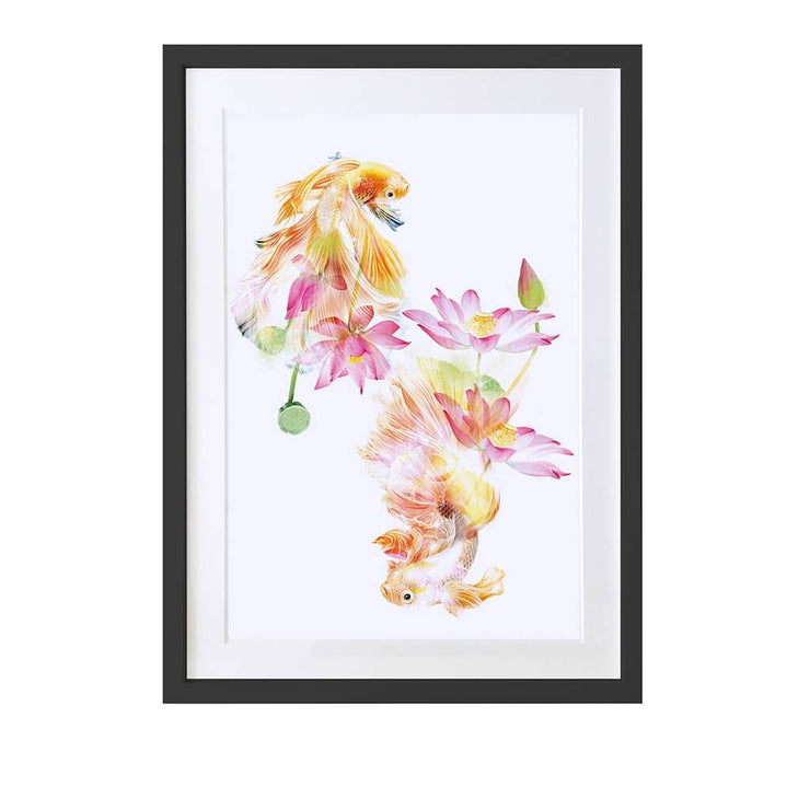 Japanese Fighting Fish Art Print - Lola Design Ltd