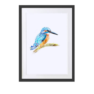 Kingfisher Art Print - Lola Design Ltd