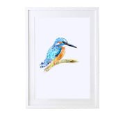 Kingfisher Art Print - Lola Design Ltd