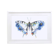 Swallowtail Butterfly Art Print - Lola Design Ltd