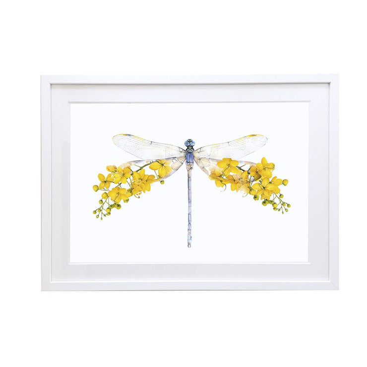 Dragonfly Art Print - Lola Design Ltd
