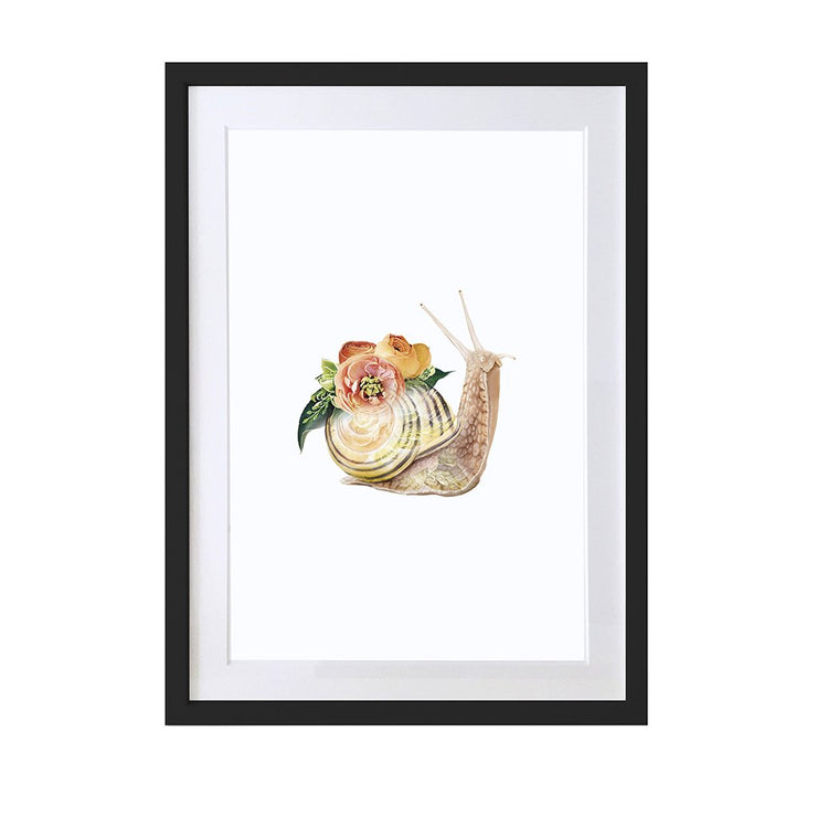 Snail Art Print - Lola Design Ltd