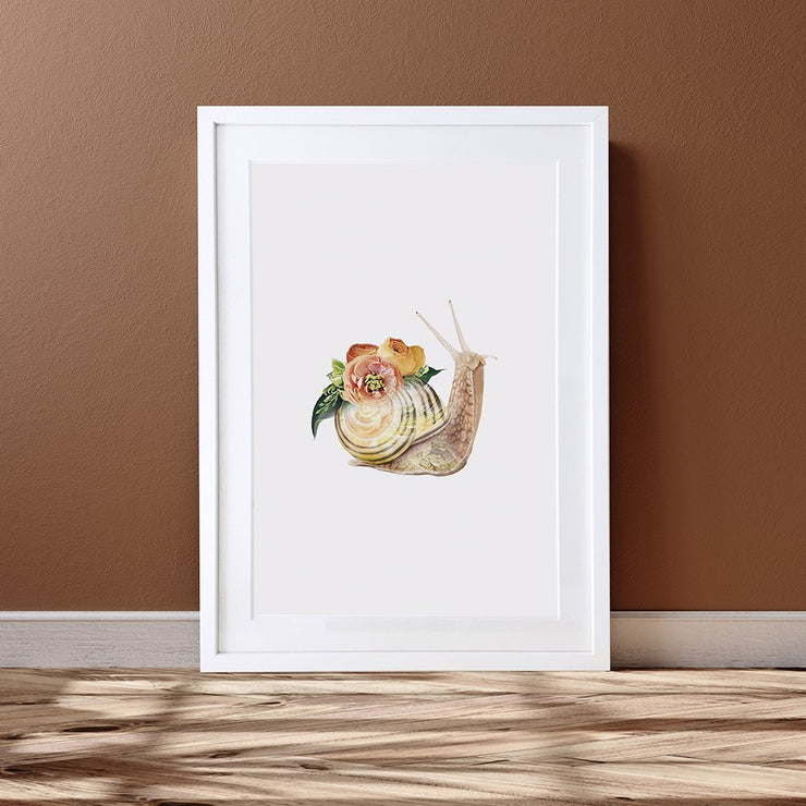 Snail Art Print - Lola Design Ltd