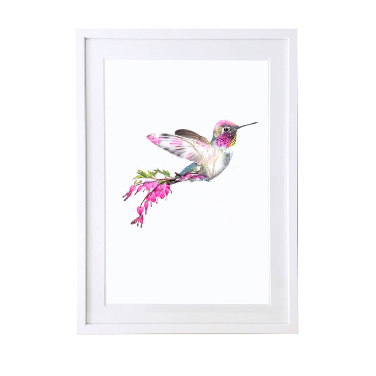 Hummingbird Art Print - Lola Design Ltd