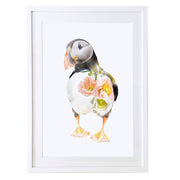 Puffin Art Print by Lola Design - Lola Design Ltd