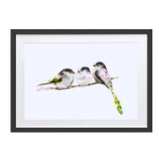 Three Long Tail Tit Birds Art Print by Lola Design - Lola Design Ltd