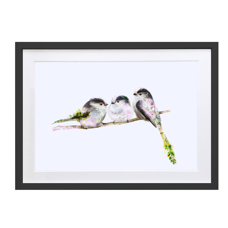 Three Long Tail Tit Birds Art Print by Lola Design - Lola Design Ltd