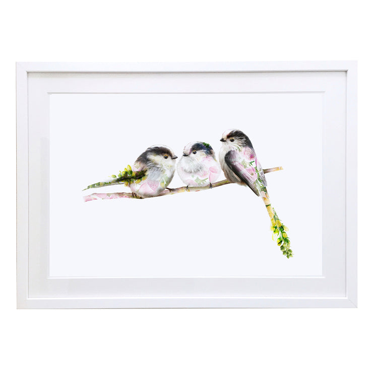 Three Long Tail Tit Birds Art Print by Lola Design - Lola Design Ltd
