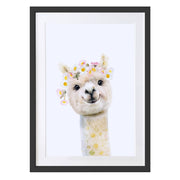 Alpacca Art Print by Lola Design - Lola Design Ltd