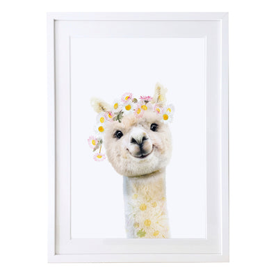 Alpacca Art Print by Lola Design - Lola Design Ltd