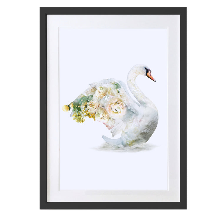 Swan Art Print by Lola Design - Lola Design Ltd