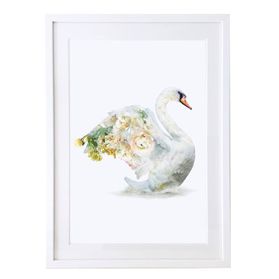 Swan Art Print by Lola Design - Lola Design Ltd