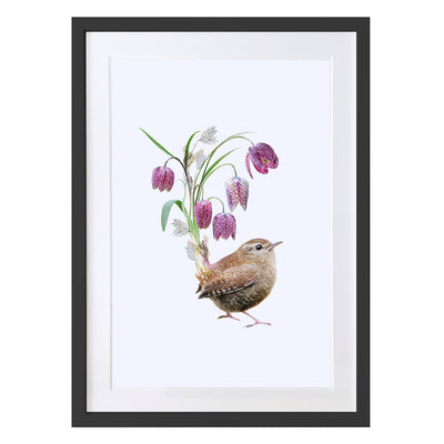 Wren Bird Art Print by Lola Design - Lola Design Ltd