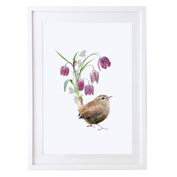 Wren Bird Art Print by Lola Design - Lola Design Ltd