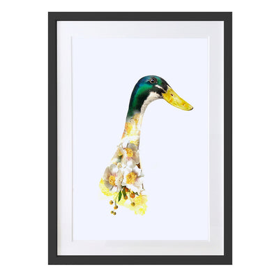 Indian Runner Duck Art Print by Lola Design - Lola Design Ltd